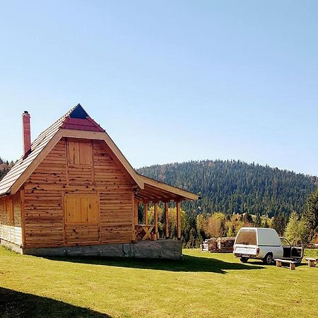 Brvnara Tara Villa Bajina Basta Kültér fotó
