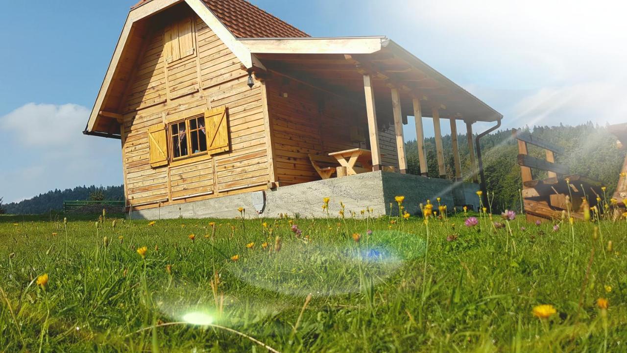 Brvnara Tara Villa Bajina Basta Kültér fotó