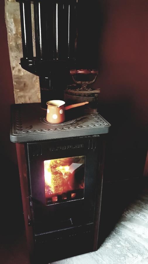 Brvnara Tara Villa Bajina Basta Kültér fotó